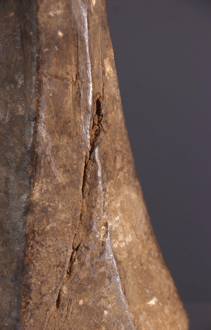 BEMBE KALUNGA HEAD - AfrahouseAfrican Art